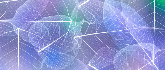 leaf texture pattern, leaf background with veins and cells - macro photography