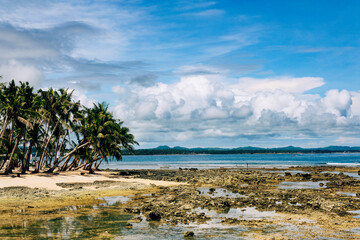 beach with palm trees, Siargao, Philippines