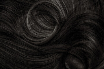 Brunette or black hair. Female long dark hair in black. Beautifully laid curls. Closeup texture in...