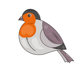 Isolated cute bullfinch. Winter bird. Vector illustration of drawings on a white background. Flat style. For the design of banners, postcards, posters, web pages.