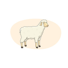 Fototapeta premium Furry, adult and cute sheep. Vector illustration.