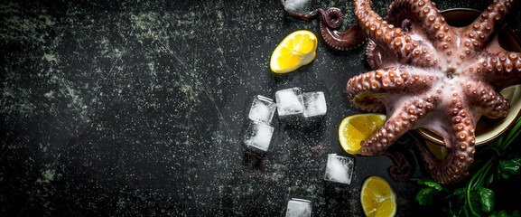 Fresh octopus with lemon, herbs and ice.