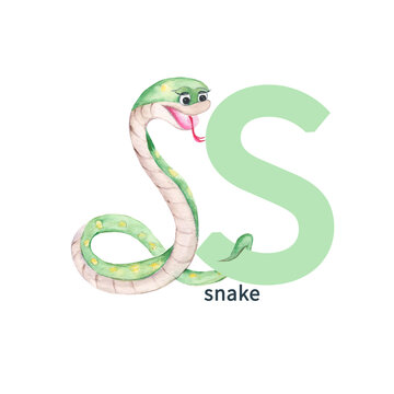 Letter S, snake, cute kids animal ABC alphabet. Watercolor illustration isolated on white background. Can be used for alphabet or cards for kids learning English vocabulary and handwriting.