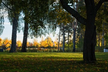 Sunny autumn day in the park - 562680885