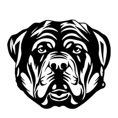 Mastiff Creative Design
