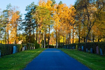Sunny autumn day at the city cemetery - 562681097