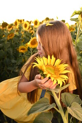 A happy young girl with long hair in a straw hat stands in a large field of sunflowers. Summer day. A warm sunset.