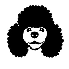 Poodle Creative Design