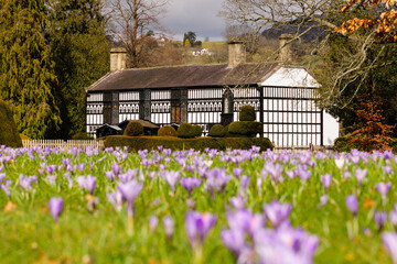 Plas Newydd the 18th century home of The Ladies of Llangollen who lived there from 1780 to 1831 - obrazy, fototapety, plakaty