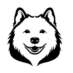 Samoyed 