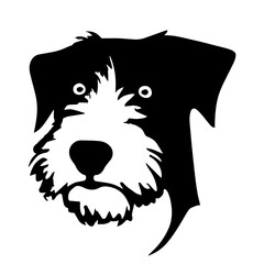 Terrier Creative Design