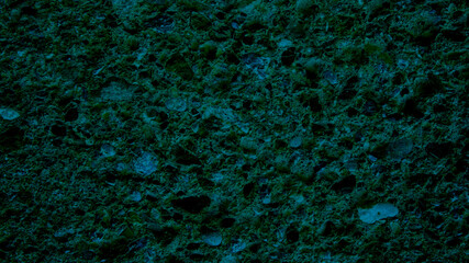 Dark green texture of a stone covered with algae. Natural plant background.
