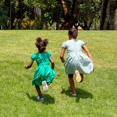 Rear view of African kids running in garden