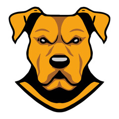 Pitbull Creative Design