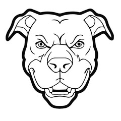 Pitbull Creative Design