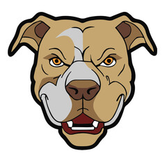 Pitbull Creative Design