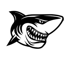 Shark Creative Design