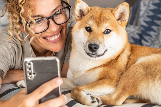 Portrait of young beautiful black woman with her adorable shiba inu purebred puppy at home. Loving girl with funny dog pup having fun on the couch. Background, close up, copy space. Animal owner