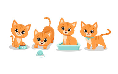 Set of isolated cute cats in different poses in cartoon style.Ginger kitten.Vector illustration