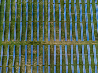 rows of solar panels on farm