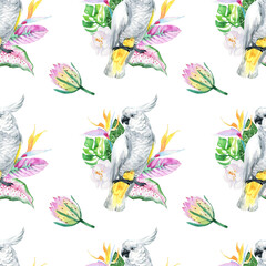 Watercolor cute parrot pattern. Pattern parrot. Watercolor cute animal. Watercolor cute bird. Hand painting postcard isolated white background. birds. cute pattern. cute parrot pattern.