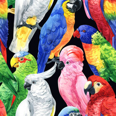 Watercolor cute parrot pattern. Pattern parrot. Watercolor cute animal. Watercolor cute bird. Hand painting postcard isolated white background. birds. cute pattern. cute parrot pattern.