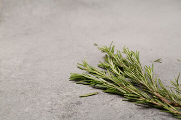 Rosemary herbs on gray background. Fresh rosemary grass. Top view.