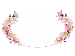 Watercolor illustration, oval frame with semicircular compositions of cherry blossoms on a white background.