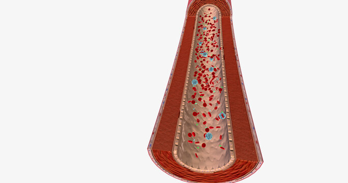 Blood Flow With Antinuclear Antibody