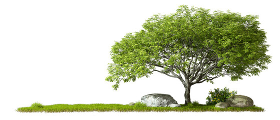 Cut out trees lay out copy space transparent backgrounds 3d render
