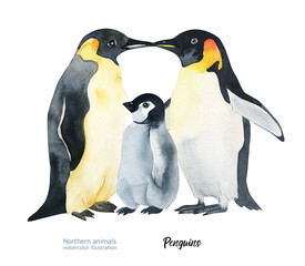 Obraz premium Watercolor cute penguin. Watercolor cute animal. Watercolor cute bird. Hand painting postcard isolated white background. birds. watercolor illustration penguins family.