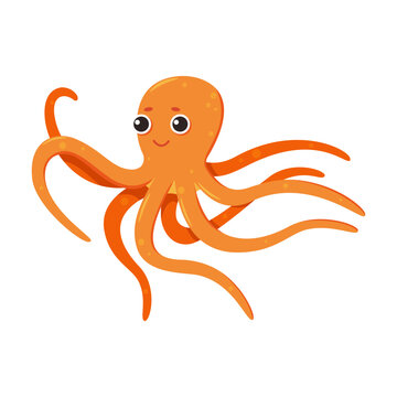 Cute cartoon octopus. Vector isolated illustration