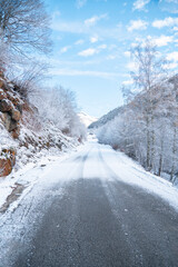 view of the beautiful mountain road in S during a foggy day, wrapped with autumn trees, winter. In...