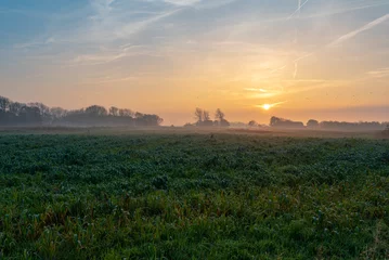 Muurstickers Ground fog in the dusk of the typical flat landscapes of East Frisia in the tourist resort Norddeich directly at the north sea behind the dyke © ksl
