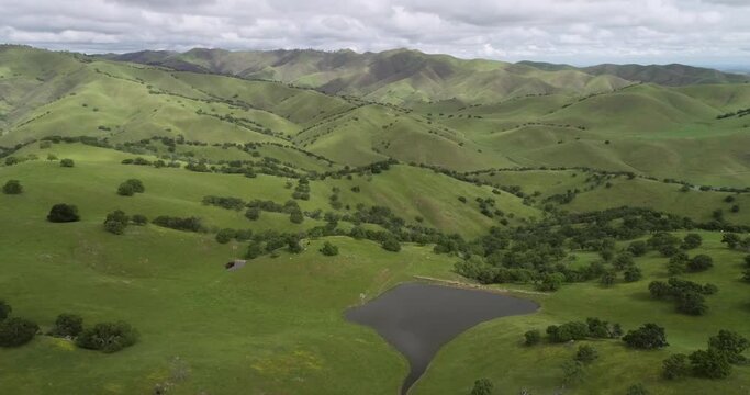 San Luis Reservoir in Background and Upper Cottonwood Creek Wildlife Area near Los Banos. California. USA. Mountains in Background