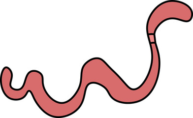 worm design illustration isolated on transparent background 