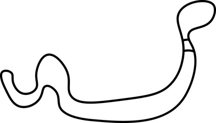 Obraz premium worm design illustration isolated on transparent background 