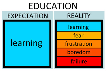 education expectation reality