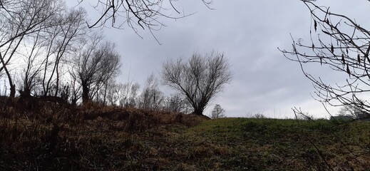 Photo of a landscape on a cloudy day
