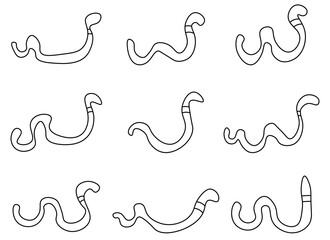 worm design illustration isolated on white background 