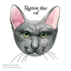 Russian blue cat. Cat watercolor. Watercolor hand drawn illustration. Water colour painting cat clipping path isolated on white background.Cute cat. Watercolor Cat illustration. postcard. Hand draw