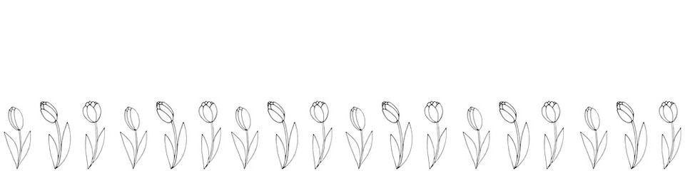 Row of contour tulip flowers. Vector hand drawn spring background isolated. Horizontal bottom edging, border, decoration for greeting card, invitation, Valentine's, Women's or Mother day
