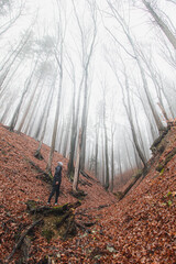 Adventurous male discovering the beauty of the gorge in the morning mist and fallen orange-red leaves. Jewels Beskydy mountains, Czech Republic