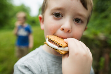 Portrait of boy eating smore with brother while standing in backyard