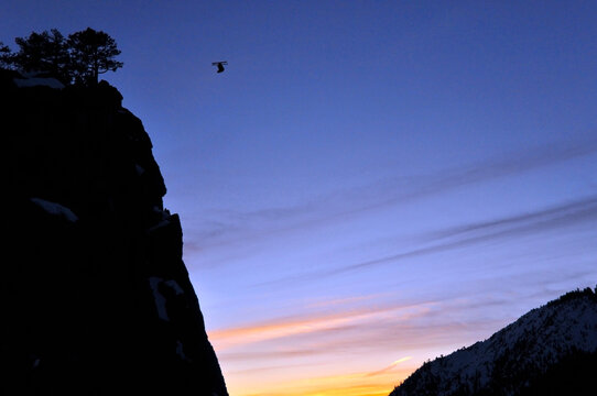 Pro skier Josh Daiek performs a front flip at sunset while ski BASE jumping off of Lovers Leap in Strawberry, CA.