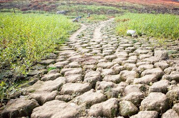 The Lac de GuerlÃ©dan is to be drained between April and November 2015. 
The Lac de Guerledan is the largest lake in Brittany â€“ itâ€™s an artificial lake and was first flooded ar