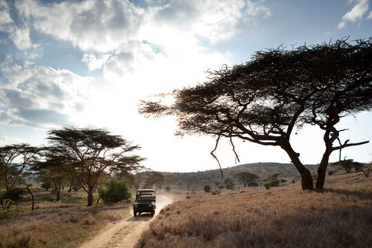 Safari jeep drives through Lewa Wilderness, Kenya.