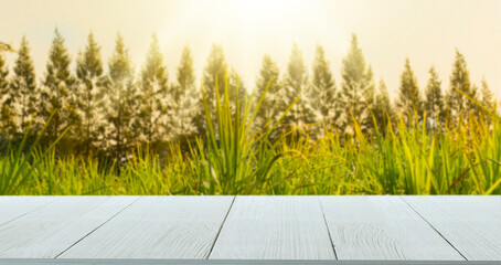wooden table on natural grass meadow background inside trees forest for product background image
