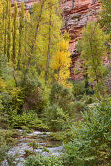 Picturesque river Gallo landscape in autumn. Guadalajara, Spain