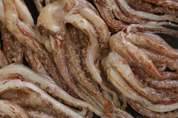 raw squid tentacles background closeup photo © ulianna19970